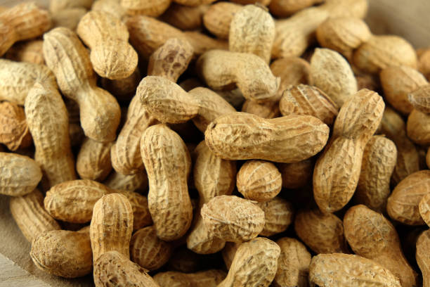 istock Peanuts in a wooden bowl - close-up. 666603080
