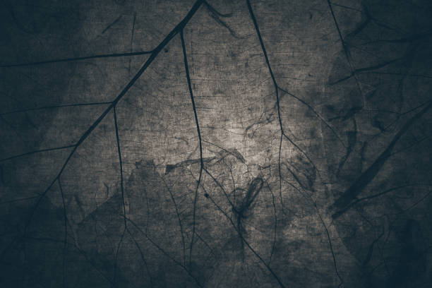 istock Dry autumn leaf texture background in vintage tone with vignetting. nature 666603696