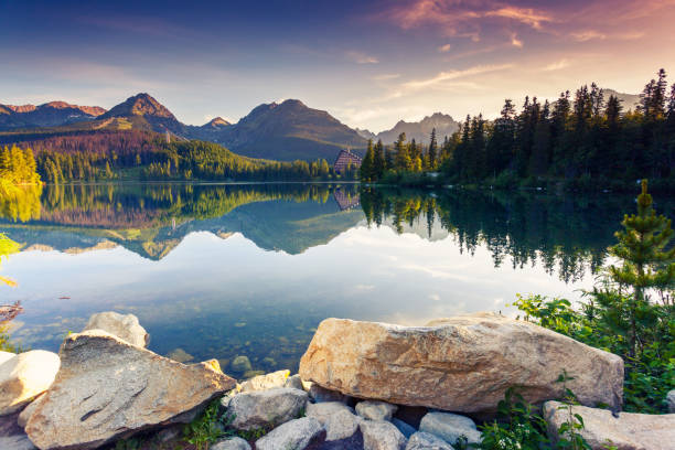 istock Beautiful natural background. 666607520