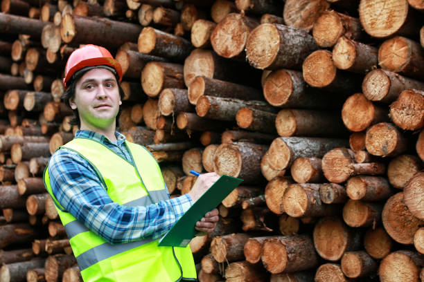 istock man in helmet worker wood lumber 666616956