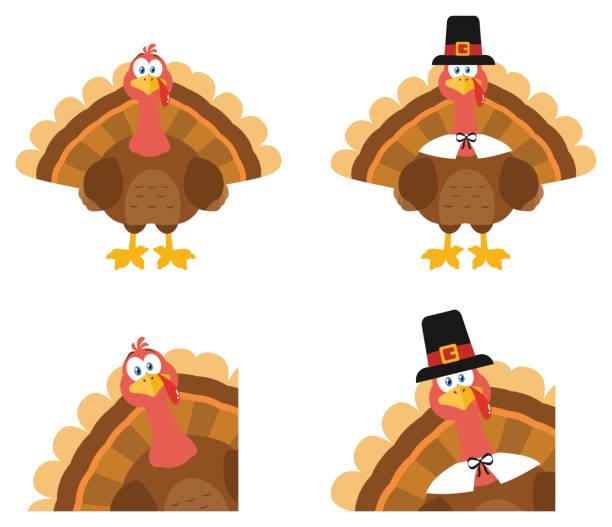 ilustraciones, imágenes clip art, dibujos animados e iconos de stock de personaje de mascota de dibujos animados de aves de turquía. set de colección - turkey