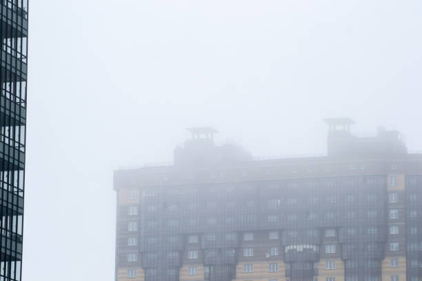 istock the crane in the fog 666621398