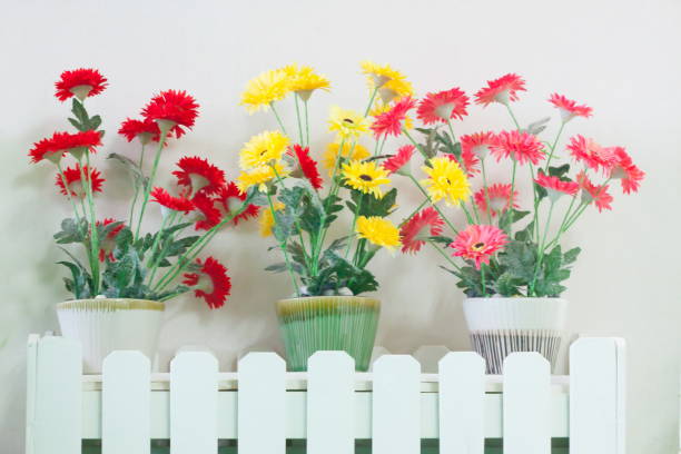 istock Flower pot placed on the wall 666627990