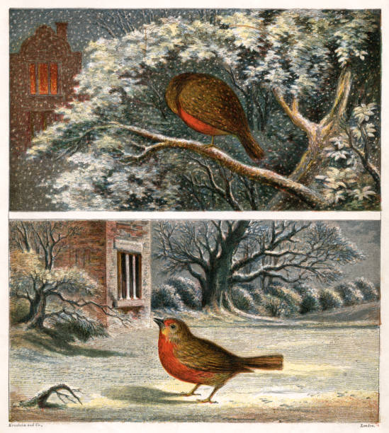 istock Two Victorian illustrations of robins in the snow 666630228