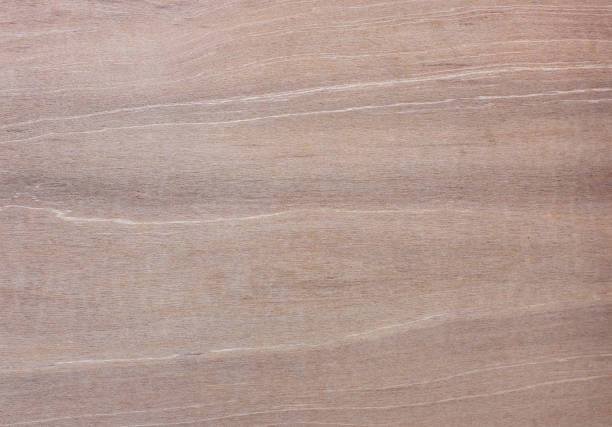 istock Closeup pattern of plywood texture. 666630392