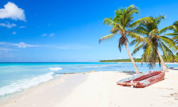 istock Palms and red pleasure boat, Saona beach 666631000