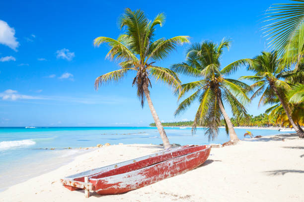 istock Coconut palms and old red pleasure boat 666631002