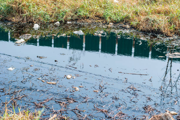 istock The sewage that runs out of garbage. 666631302