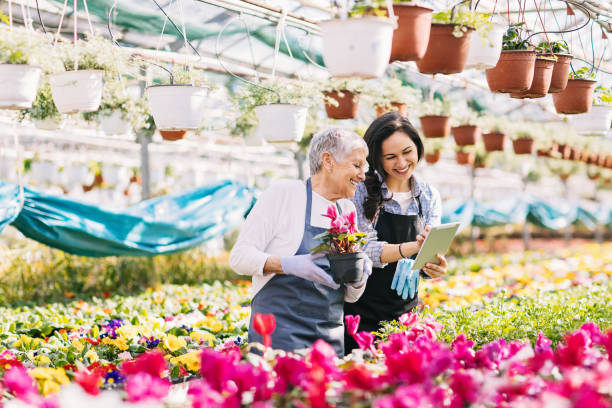 istock Gardening industry and modern technology 666631532