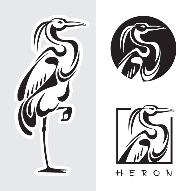 illustrazioni stock, clip art, cartoni animati e icone di tendenza di illustrazione grafica di un singolo uccello - un airone. - egret