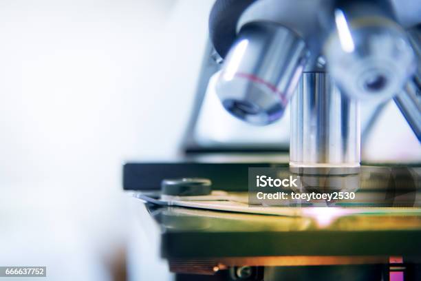 Microscpope Laboratory Equipment Find Test In White Tone Stock Photo - Download Image Now