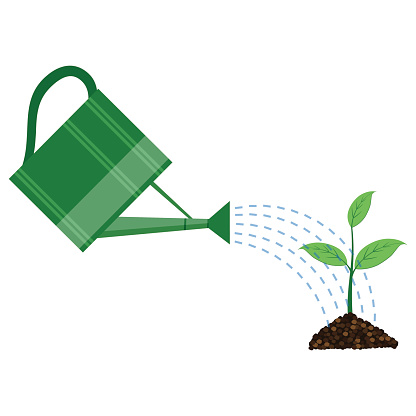 Young plant with watering can on the white background