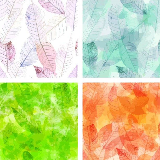 뼈대 잎 벡터 배경 세트 - green abstract backgrounds leaf stock illustrations