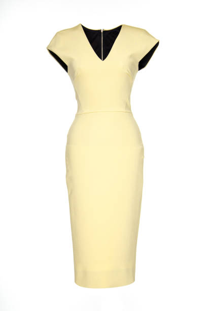istock sheath dress isolated on white 666638530