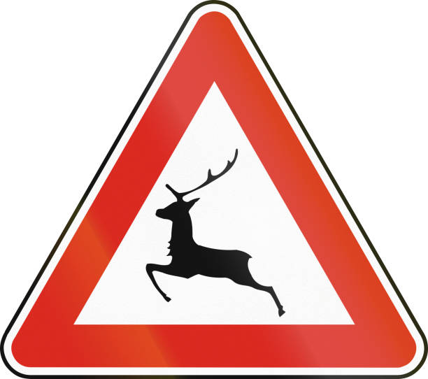istock Road sign used in Slovakia - Deer crossing 666645424
