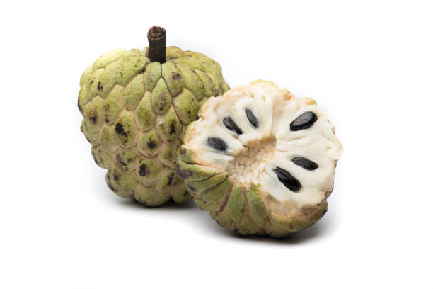 istock Sugar Apple custard apple, Annona, sweetsop on white background 666647702