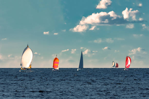 istock Sailboat regatta at summer 666650560