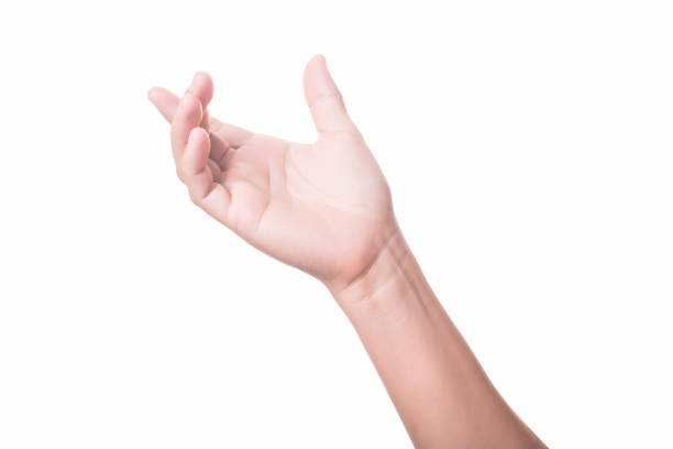 istock female hand isolated on white background 666650758