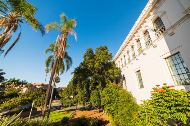 istock Palm trees in Balboa park 666658042