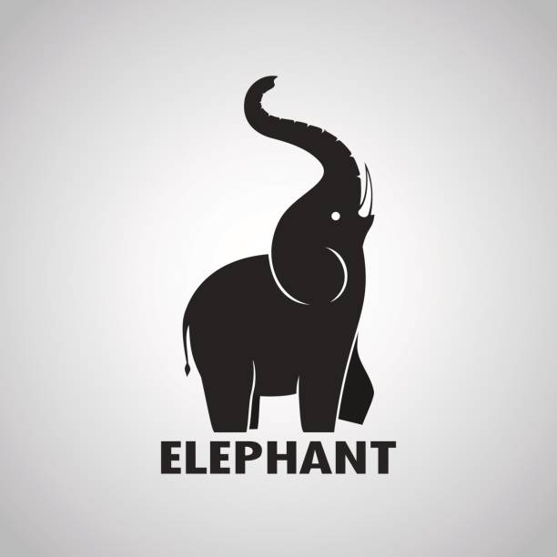 Elephant design on a white background vector art illustration