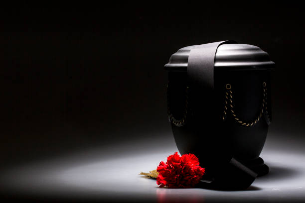 istock funeral mourning urn, with carnation flower 666675776