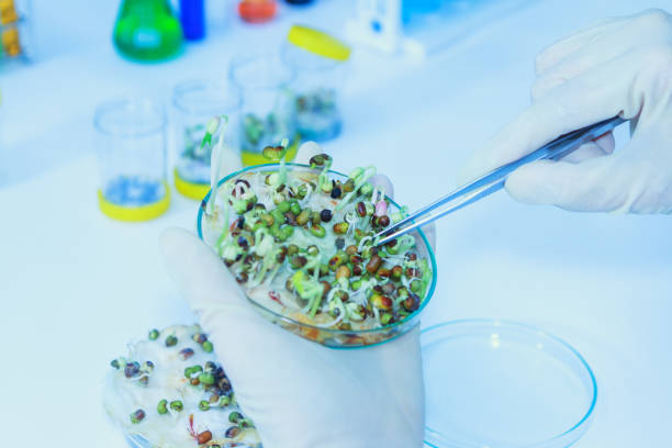 istock Scientist working,scientists working at the laboratory,scientist leaning against the whiteboard in laboratory,scientist background,female scientist looking microscope in laboratory,scientists study. 666681706