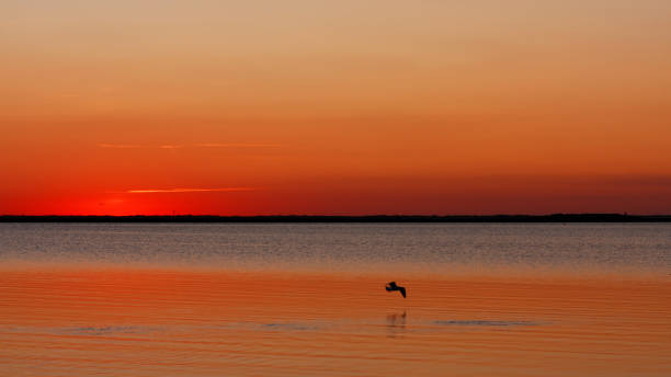 istock red sky after sundown at the coast 666692212
