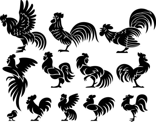 Eleven roosters in profile Eleven silhouettes of roosters in a profile. Isolated on a white background rooster open wings stock illustrations