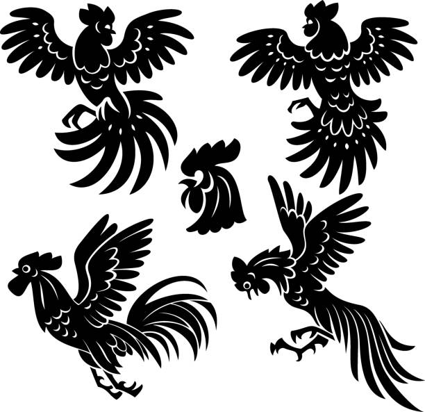 Four flying roosters Four silhouettes of the flying roosters. Isolated on a white background rooster open wings stock illustrations