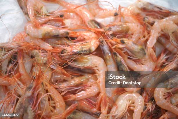 Fresh Shrimps Stock Photo - Download Image Now - Animal Shell, Catch of Fish, Close-up