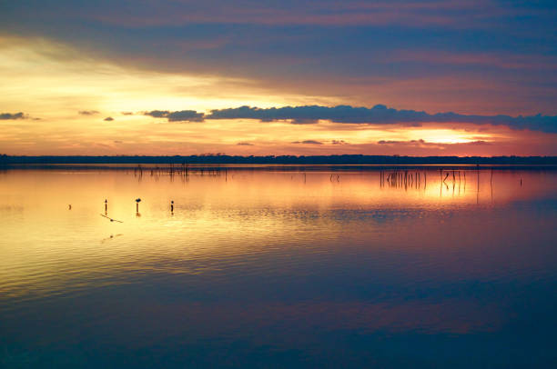 istock Sunset over Lake Massaciuccoli - Italy - Tuscany 666699462