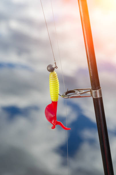 istock Fishing baubles closeup on the rod 666705068