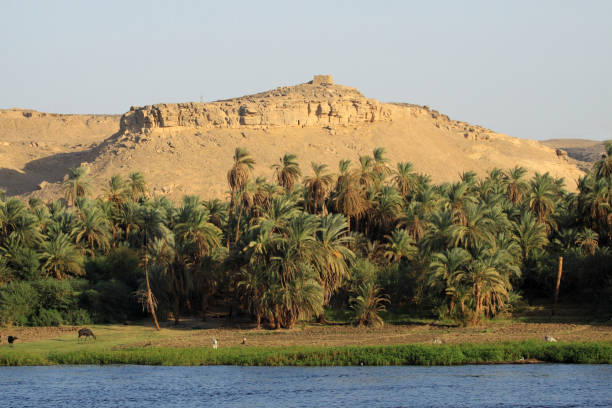 istock Living along the Nile 666705516