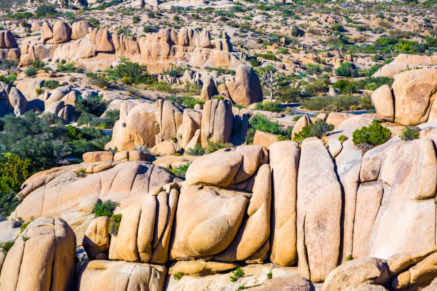 istock scenic rocks in Joshua Tree National Park 666705736