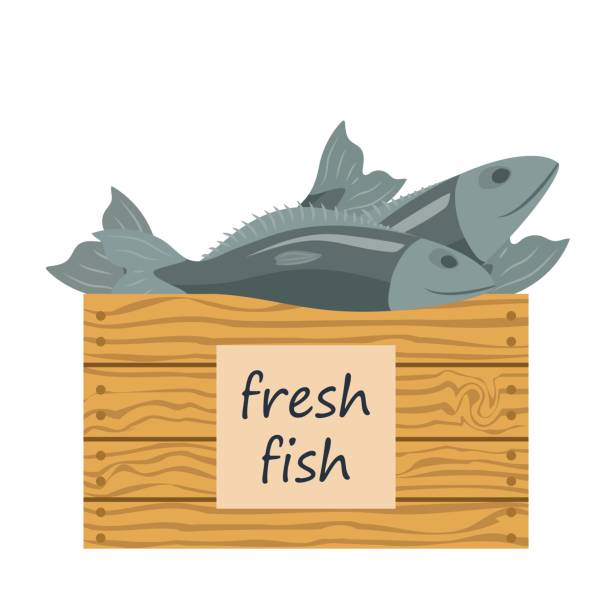 Wooden box with fresh fish vector art illustration