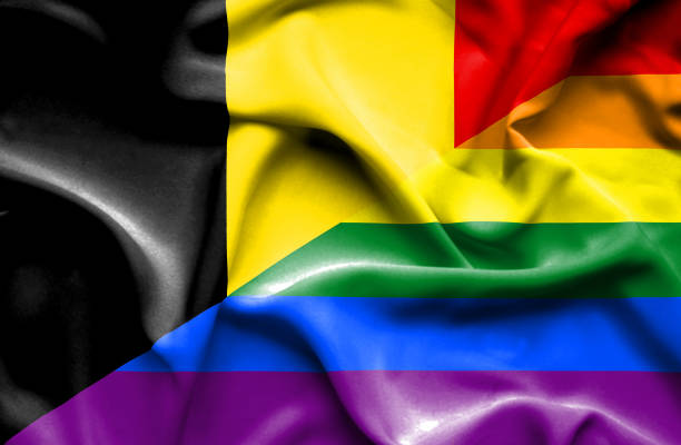 istock Waving flag of Pride and Belgium 666712732