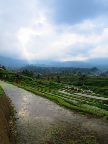 istock Rice terrace paddy fields with panoramic curve lines, water reflection, local kiosks and misty mountain view 666713006