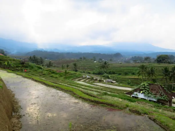 Photo of Rice terrace paddy fields with panoramic curve lines view, water reflection and local kiosks
