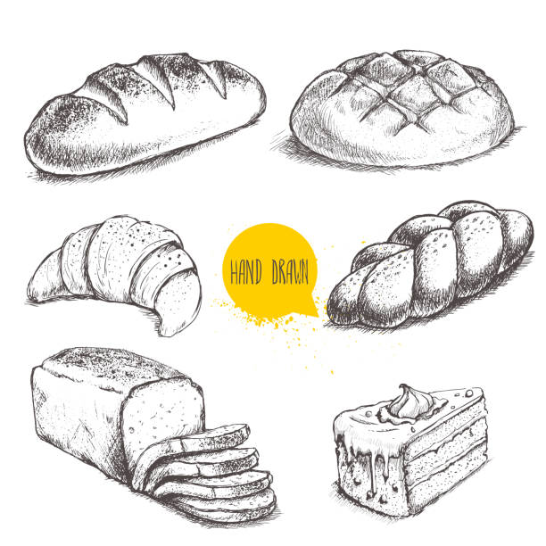 빈티지 수작업 스케치를 스타일 베이커리 설정합니다. - bread white background isolated loaf of bread stock illustrations