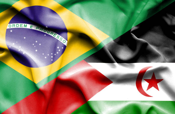 istock Waving flag of Western Sahara and Brazil 666714260
