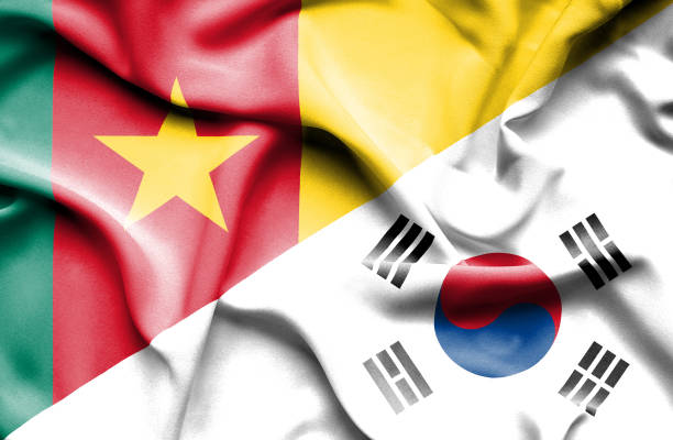 istock Waving flag of South Korea and Cameroon 666717226