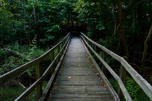 Wooden bridge leading into the woods at Allaire Park in New Jersey