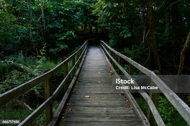 Mysterious Bridge Into The Forest Stock Photo - Download Image Now - Bridge - Built Structure, Spooky, Woodland