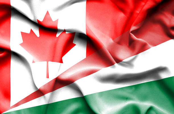 istock Waving flag of Seychelles and Canada 666718024