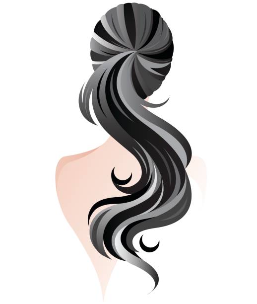 Women Ponytail Hair Style Women Back Stock Illustration - Download Image  Now - Ponytail, Women, Hair - iStock