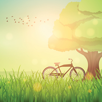 Spring solar background with tree and bicycle