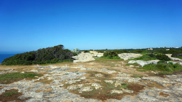 istock wild algarve coast 666731678