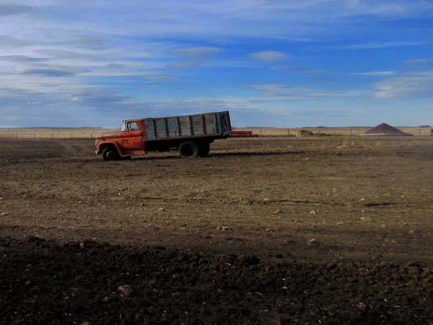 lkw in saskatchewan field - saskatchewan saskatoon field prairie stock-fotos und bilder