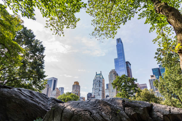 istock New York's Signature view through Central Park 666744396
