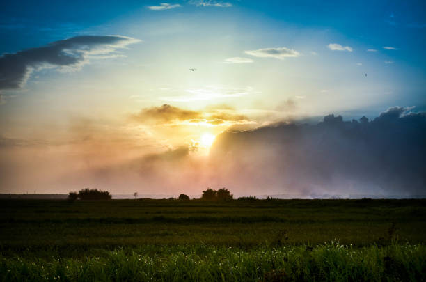 Beautiful sunset over the green large field